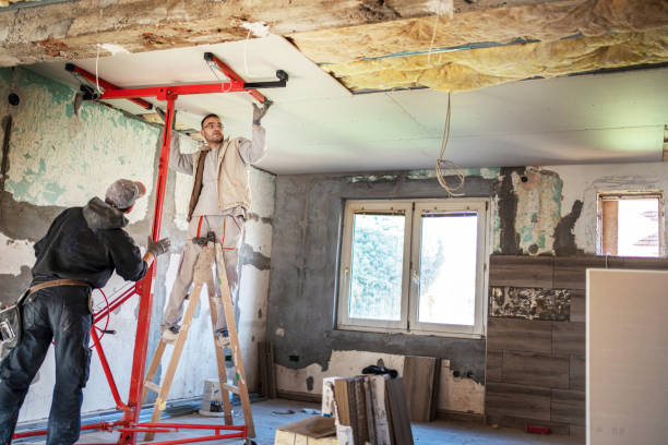 Best Energy-efficient Insulation  in Glencoe, MN